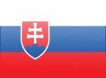 Туристическая виза в Словакию