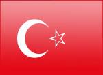 Гостевая виза в Турцию